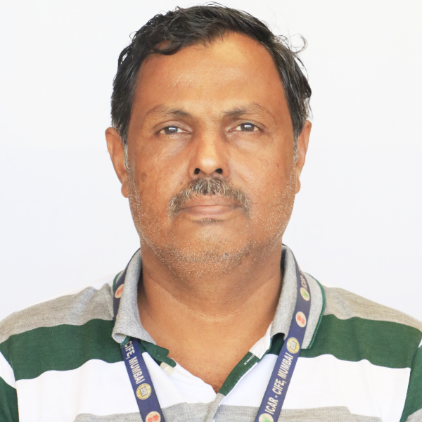 Mr. Ganesh N.Zendekar